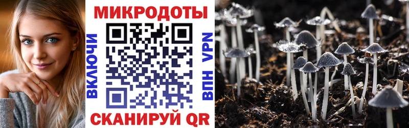 Купить где  Волчанск  Псилоцибиновые грибы MAGIC MUSHROOMS 